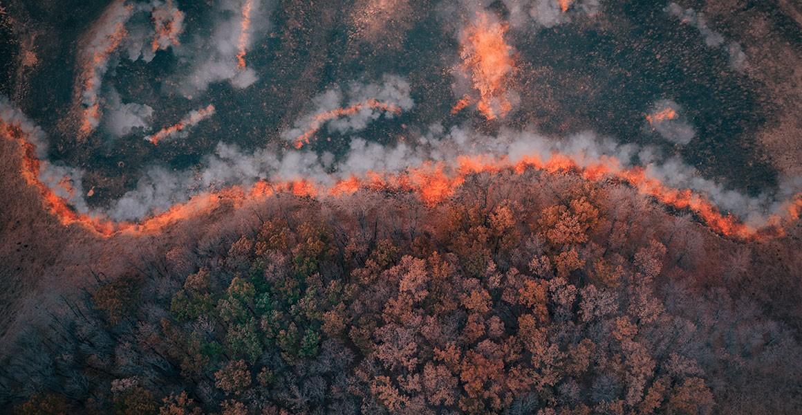 Environment Disturbances